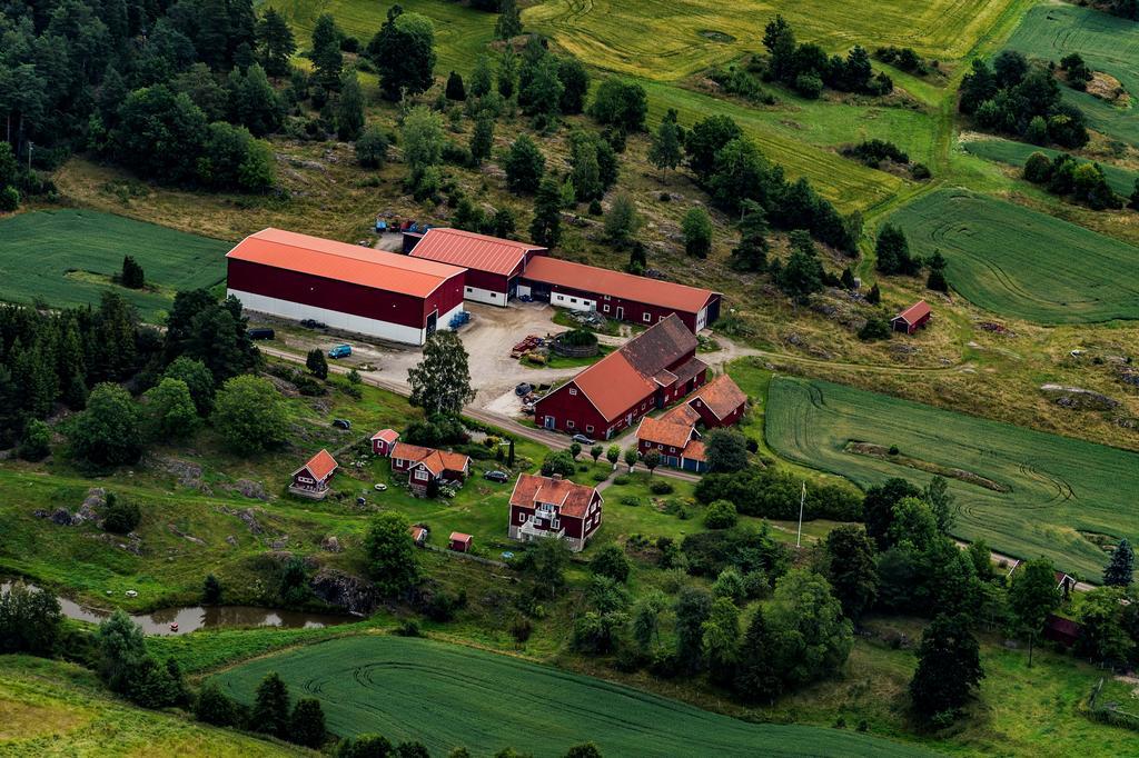 Villa Backgardens Turism & Kultur Exterior foto